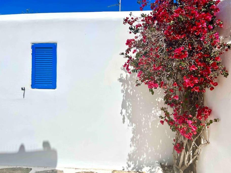 Relax Sunlight Apartment Mykonos Town Exterior photo